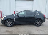 Cadillac Srx Luxury Collection 3GYFNDEY2BS601904 снимка