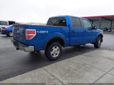 Ford F-150 Xlt 1FTPW14V39FA50264 снимка