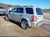 Ford Escape Xlt 1FMCU03Z78KA91629 снимка