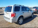 Ford Escape Xlt 1FMCU03Z78KA91629 снимка