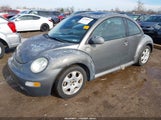 Volkswagen New Beetle Gls 3VWCB21C22M441573 снимка