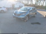 Miniaturka zdjęcia 2