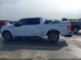 Ford F-150 Xlt 1FTEW1CP0FKF16312 снимка