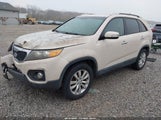 Kia Sorento Ex 5XYKU4A1XBG034505 снимка
