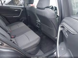 Miniaturka zdjęcia 8