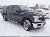 Ford F-150 Xlt 1FTEW1EP5KKE48841 снимка