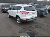 Miniaturka zdjęcia 3