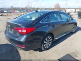 Hyundai Sonata Sport 5NPE34AF2HH526023 снимка