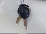 Miniaturka zdjęcia 11