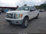 Ford F-150 Fx2 Sport/Harley-Davidson/King Ranch/Lariat/Platinum/Xl/Xlt 1FTFW1CV8AFC45424 fotografie