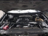 Ford F-150 King Ranch 1FTFW1ET0DKE28498 снимка
