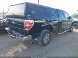 Ford F-150 Xlt 1FTFW1ET9DKD63151 снимка