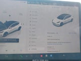 Miniaturka zdjęcia 7