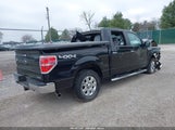 Ford F-150 Xlt 1FTFW1EF2DFD10116 снимка