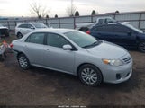 Toyota Corolla Le 2T1BU4EE2DC087985 fotografie
