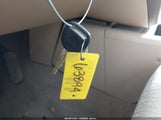 Miniaturka zdjęcia 11