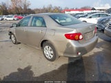 Toyota Corolla Le 1NXBU40E79Z030243 снимка