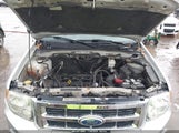 Ford Escape Xlt 1FMCU0D71CKA74525 fotografie
