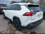 Toyota Rav4 Xle JTMW1RFV1KD023393 photo