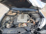 Infiniti G37 JN1CV6AP8AM405615 снимка
