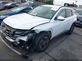 Hyundai Tucson Hybrid Blue KM8JBDD1XSU273611 fotografie