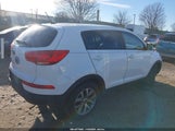 Kia Sportage Lx KNDPBCAC0E7549019 снимка