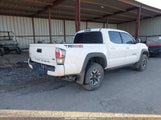 Toyota Tacoma Trd Off-Road 5TFCZ5AN9MX256659 photo