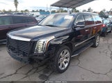 Miniaturka zdjęcia 2
