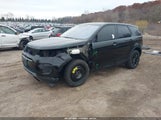 Miniaturka zdjęcia 2