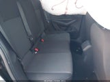 Miniaturka zdjęcia 8