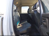 Miniaturka zdjęcia 8