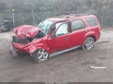 Ford Escape Xlt 1FMCU9DG9BKC21337 fotografie