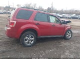 Ford Escape Xlt 1FMCU9DG9BKC21337 снимка