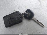 Miniaturka zdjęcia 11