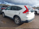 Honda Cr-V Ex-L 5J6RM4H78EL081768 снимка