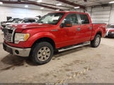 Ford F-150 Fx4/Harley-Davidson/King Ranch/Lariat/Platinum/Xl/Xlt 1FTFW1EV8AFD02430 fotografie