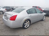Nissan Maxima 3.5 Se 1N4BA41E85C849702 снимка