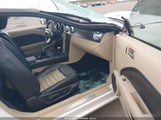 Ford Mustang Gt Deluxe/Gt Premium 1ZVHT82H575317553 photo