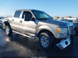 Ford F-150 Xlt 1FTFW1EF6CFD00137 снимка
