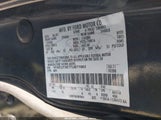 Ford Explorer Xlt 1FMEU73E77UB71983 photo