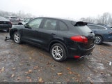 Miniaturka zdjęcia 3