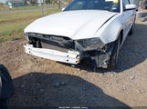 Ford Mustang V6 Premium 1ZVBP8EM0E5324183 снимка
