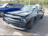 Dodge Challenger Sxt 2C3CDYAG7EH149556 photo