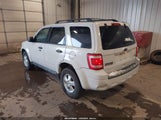 Ford Escape Xlt 1FMCU9DG1AKD19955 снимка