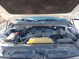 Miniaturka zdjęcia 10
