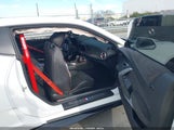 Miniaturka zdjęcia 5