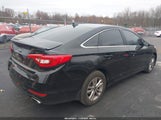 Hyundai Sonata Se 5NPE24AF6GH338199 снимка