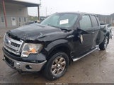 Ford F-150 Xlt 1FTFX1EF1DKG43900 снимка