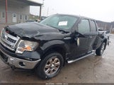 Ford F-150 Xlt 1FTFX1EF1DKG43900 снимка