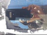 Chevrolet Impala Ltz 2G1WC5E39D1102157 снимка